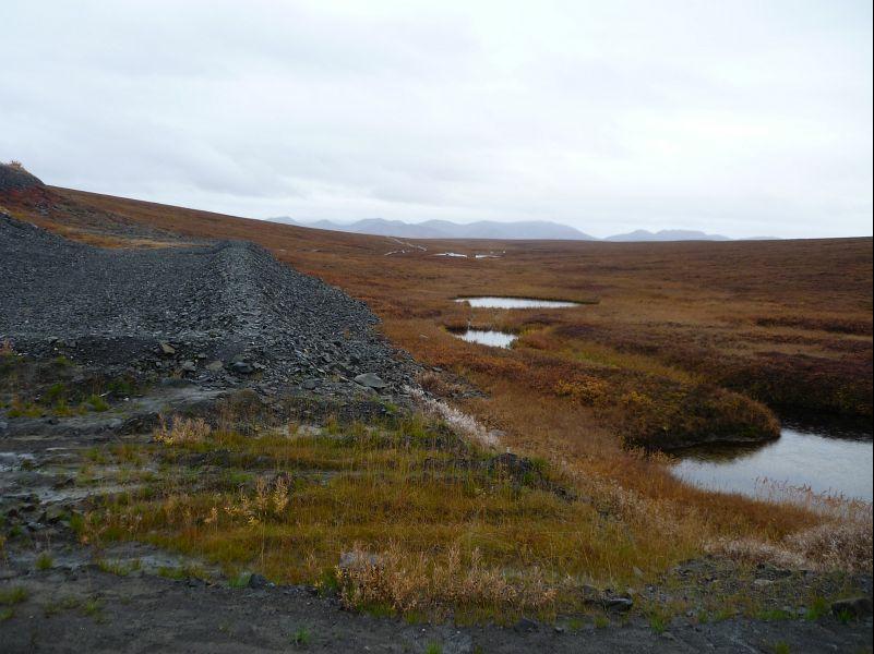 P1000704 this is where I picked the rocks